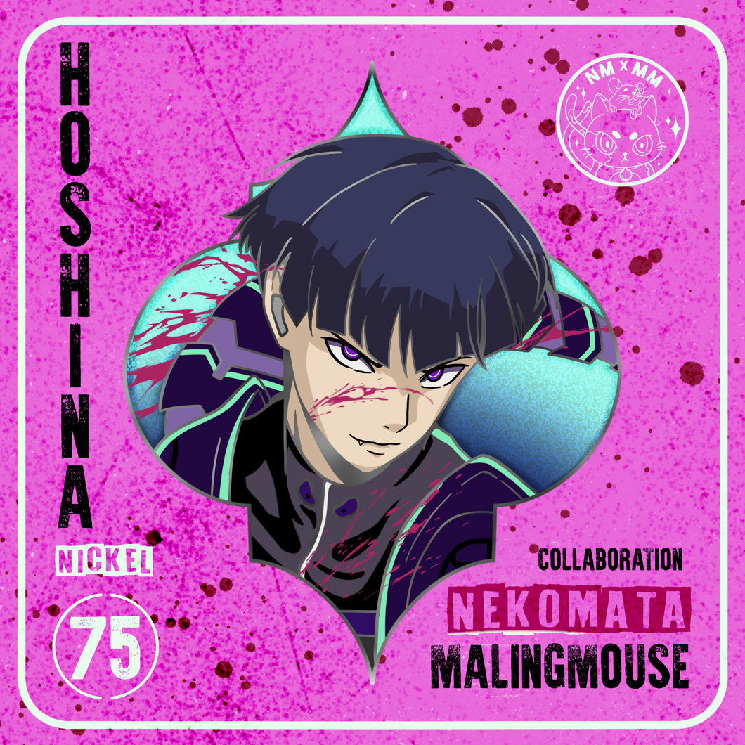 Vice-Captain Hoshina