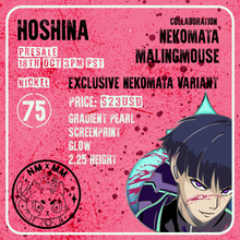 Load image into Gallery viewer, Vice-Captain Hoshina
